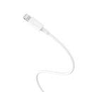 Mi USB Type-C to Lightning Cable