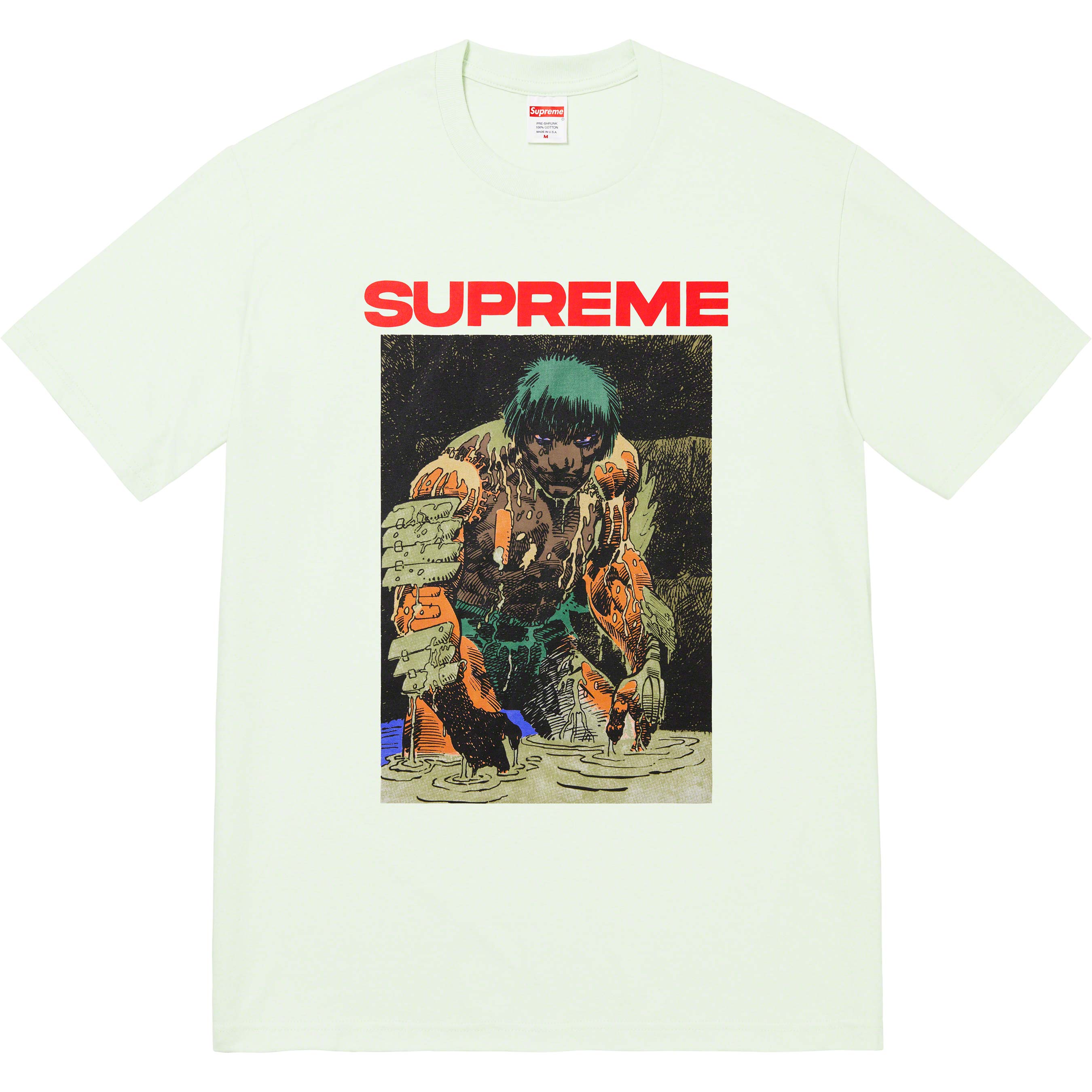 Supreme Ronin Tee Pale Green