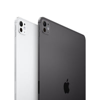 iPad pro 13” m4