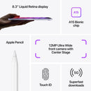 iPad Mini 6