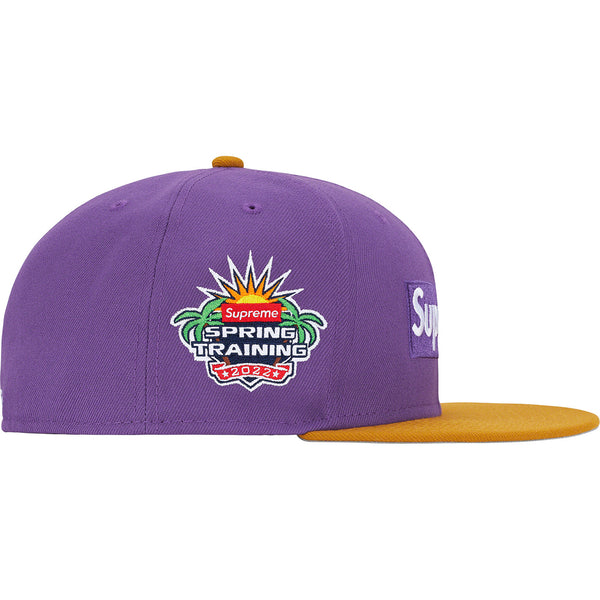 Supreme 2-Tone Box Logo New Era Purple