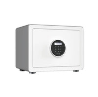 Mi CRMCR Electric Safe Box