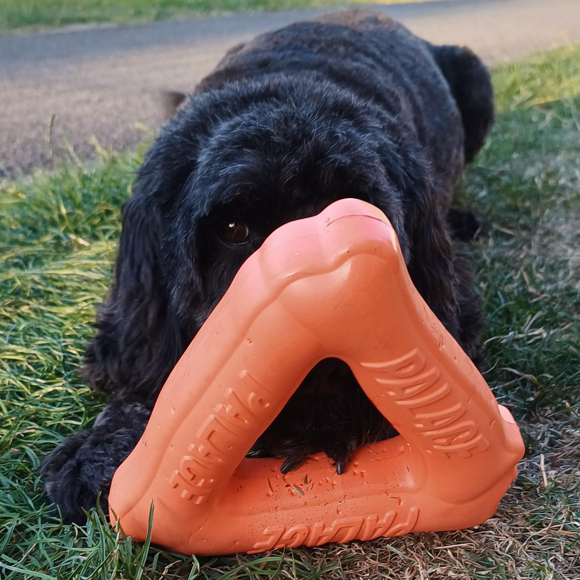 Palace Dog Toy Orange